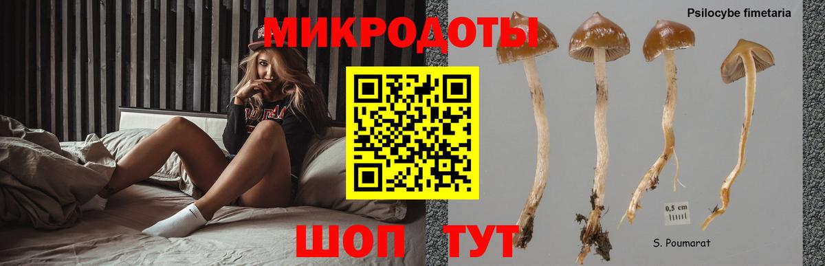 Галлюциногенные грибы MAGIC MUSHROOMS Лабинск